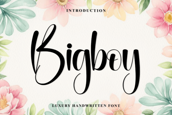 Bigboy: The Art of Digital Elegance in Modern Typography