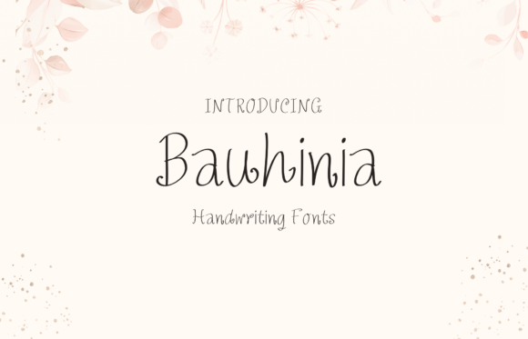 Evaluating Bauhinia: A Practical Guide to the Handwritten Display Font